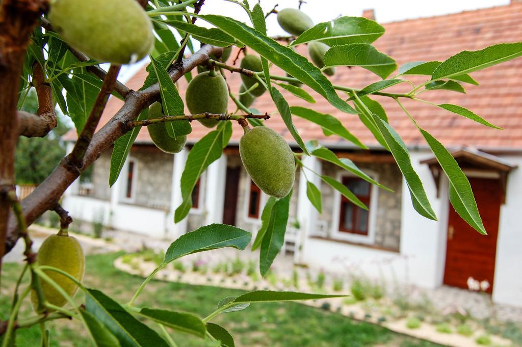 Vitamin B63 Vendeghaz Больдогкёваралья Экстерьер фото
